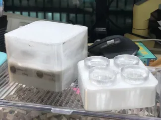 Mini 育苗仓 Seed Starting & Alocasia Corm Nursery