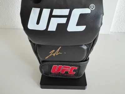 MMA Glove Stand