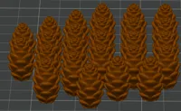 Jetons pommes de pin pour Cascadia — photo 3
