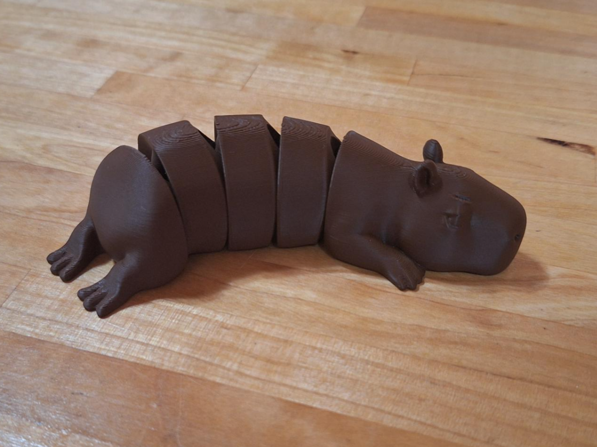 Capybara Flexi - 1