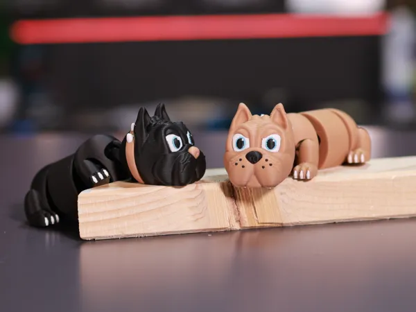 https://makerworld.bblmw.com/makerworld/model/USab4921c364d18a/design/2025-05-11_99b44a3799dca8.jpg