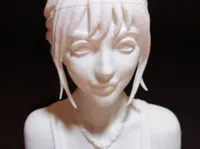 0.2mm layer, 2 walls, 5% infill
