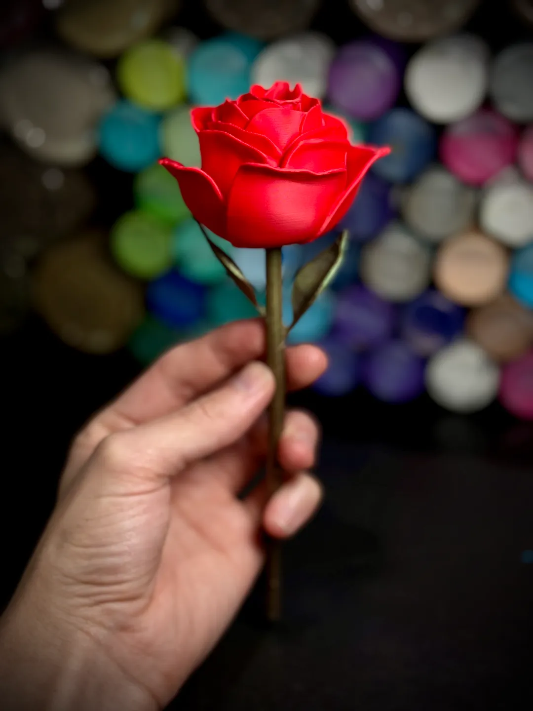 Rose view 2