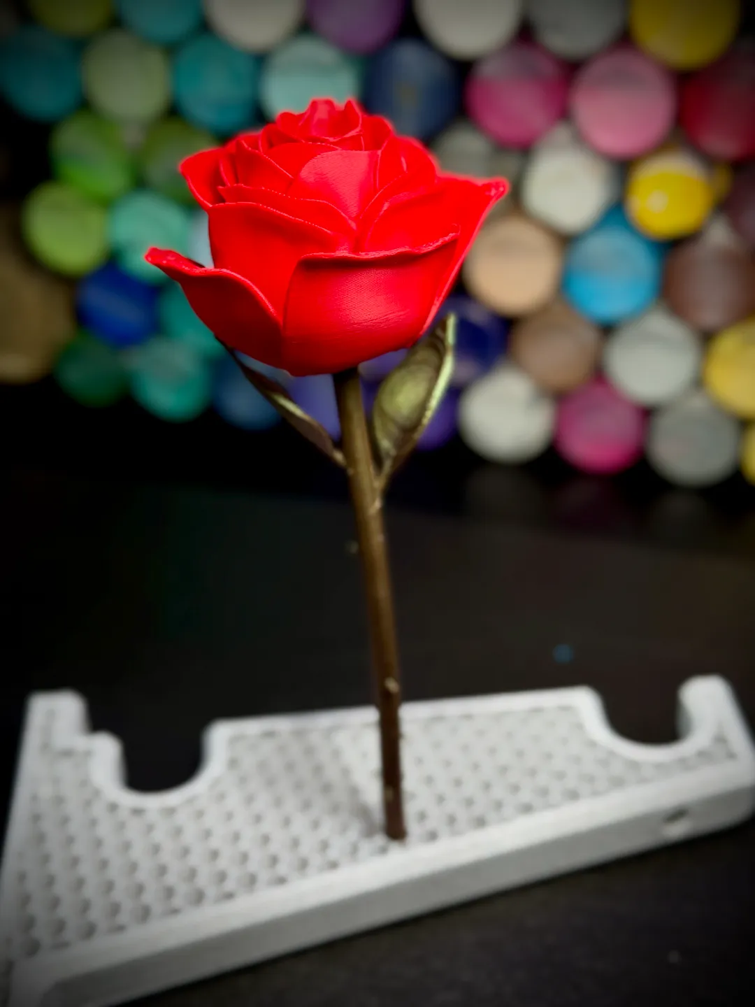 Rose view 3