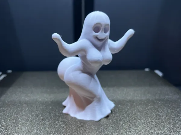 https://makerworld.bblmw.com/makerworld/model/USab5195afb735e3/design/2025-09-19_4ff62adb3de9a.jpg