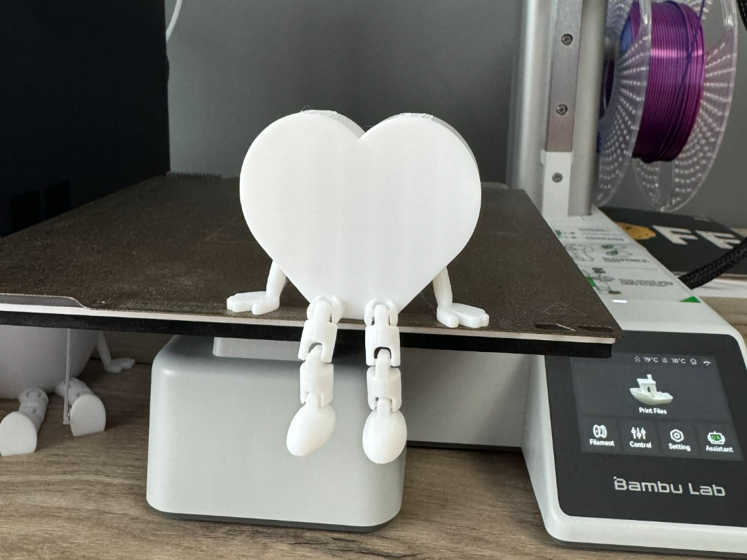 flexi heart v2