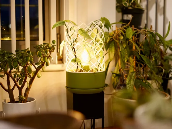 https://makerworld.bblmw.com/makerworld/model/USab5b6484978425/design/2025-02-11_bb4f35502302b.jpg