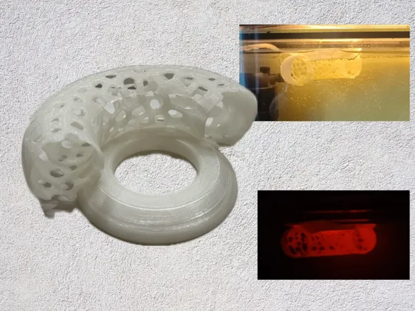 https://makerworld.bblmw.com/makerworld/model/USab5bff843a86a0/design/2026-01-03_df723fb75abb2.png