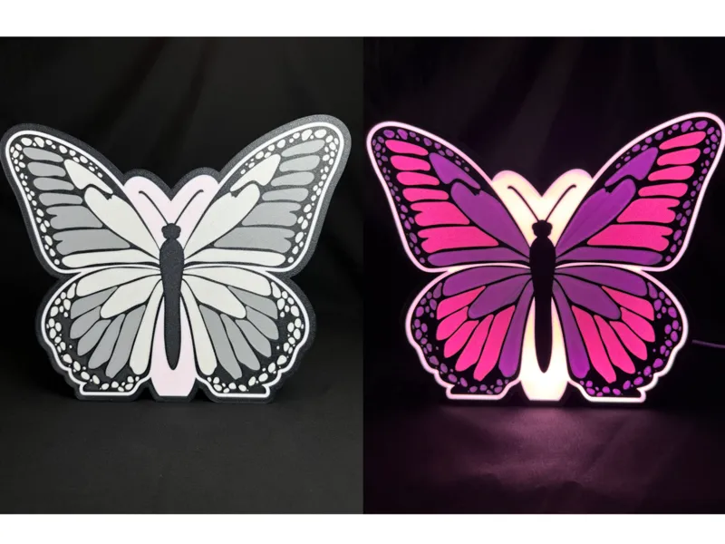 Moth becomes Butterfly - Color Changing Lightbox