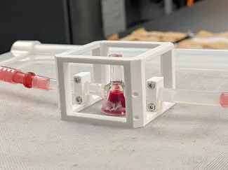 Mosquito Feeder Protective Cage