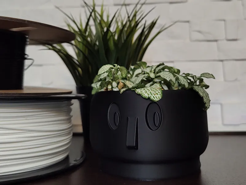 Nose Flowe Pot