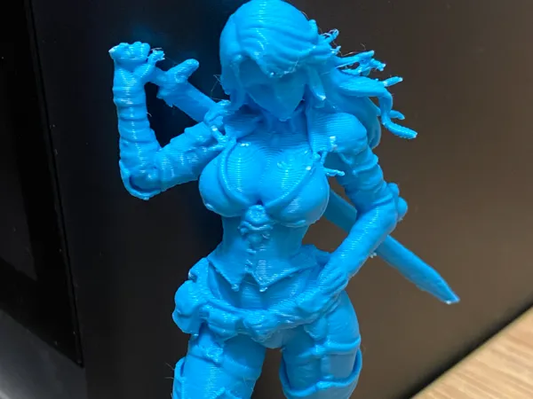 https://makerworld.bblmw.com/makerworld/model/USab615614c031d8/design/6ea4a68aa5cb44bf.jpeg