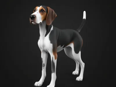 Treeing Walker Coonhound 