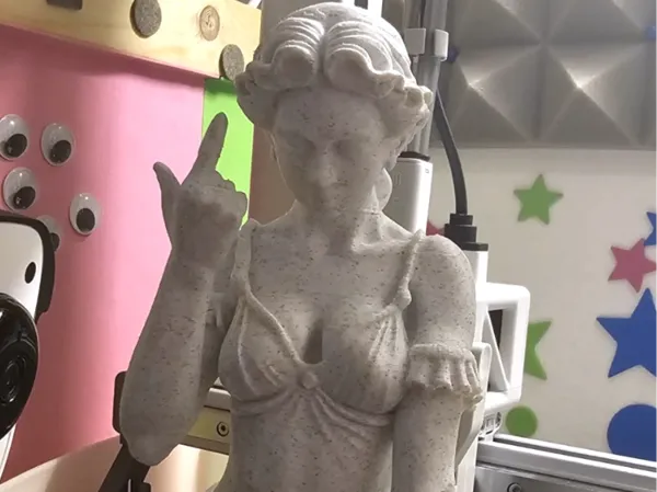 https://makerworld.bblmw.com/makerworld/model/USab699de737db97/design/2025-09-16_51e950e0166a4.jpg