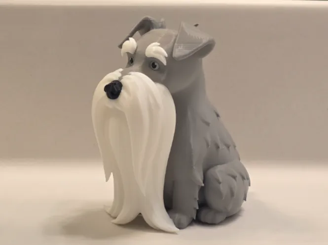 Schnauzer long beard