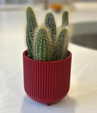 Planter with decorative ridges