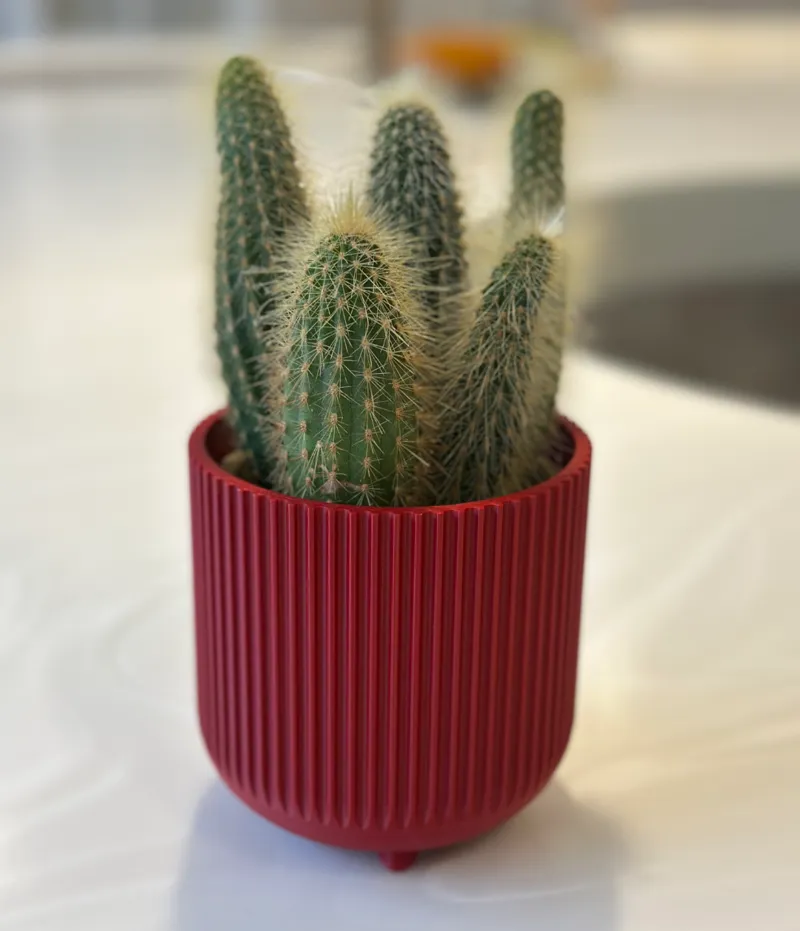 Planter with decorative ridges