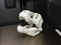 150mm高 满盘版