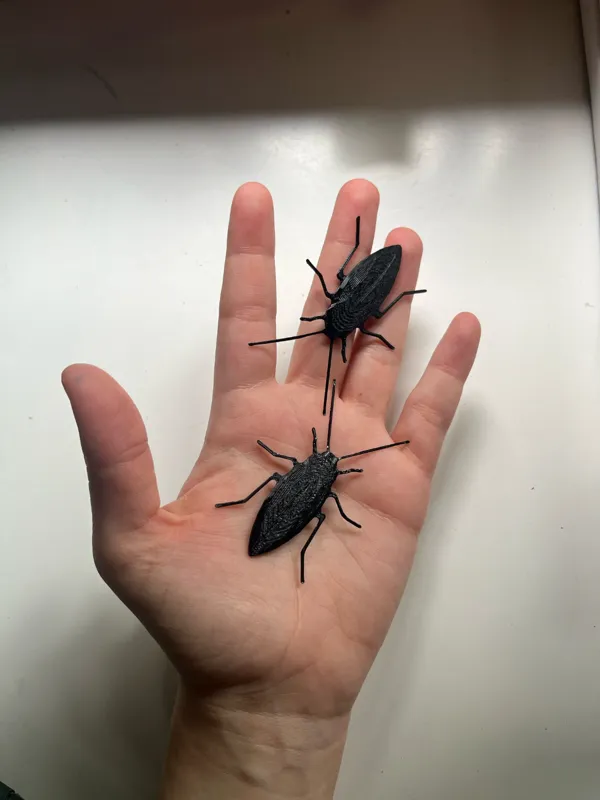https://makerworld.bblmw.com/makerworld/model/USab815b9fa59deb/design/2024-02-15_813d1e08a77aa.jpg