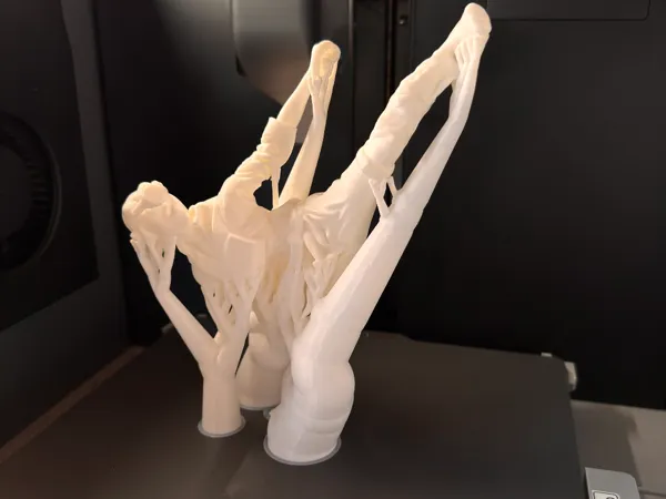 https://makerworld.bblmw.com/makerworld/model/USab829cf5d482ce/design/2025-04-01_c93dcb1131b2f.jpeg