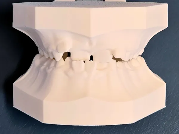 https://makerworld.bblmw.com/makerworld/model/USab8444ea506b3/design/2026-01-03_56becc22634068.jpg