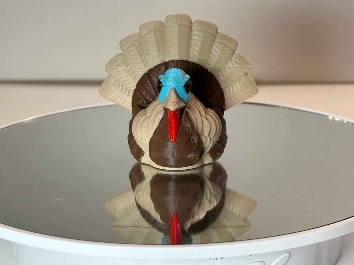 Dinde de Thanksgiving