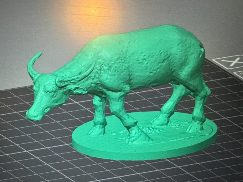 Guam Carabao