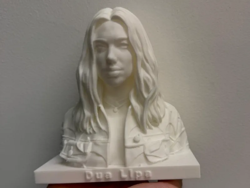 Dua Lipa Bust 
