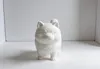 Monochrome printing
