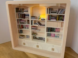 Fidget Bookcase
