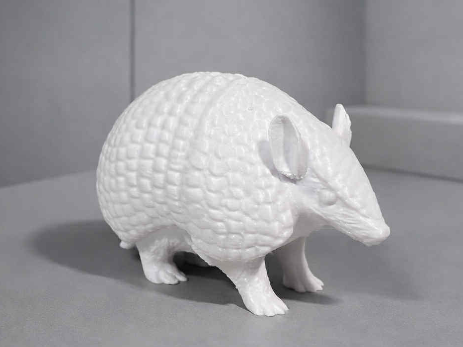 Southern Three-Banded Armadillo - Animal