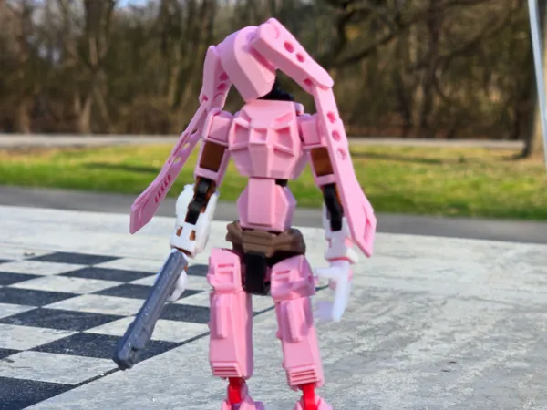 https://makerworld.bblmw.com/makerworld/model/USab9988c2303b42/design/2025-04-24_6f98c00de81f48.jpg