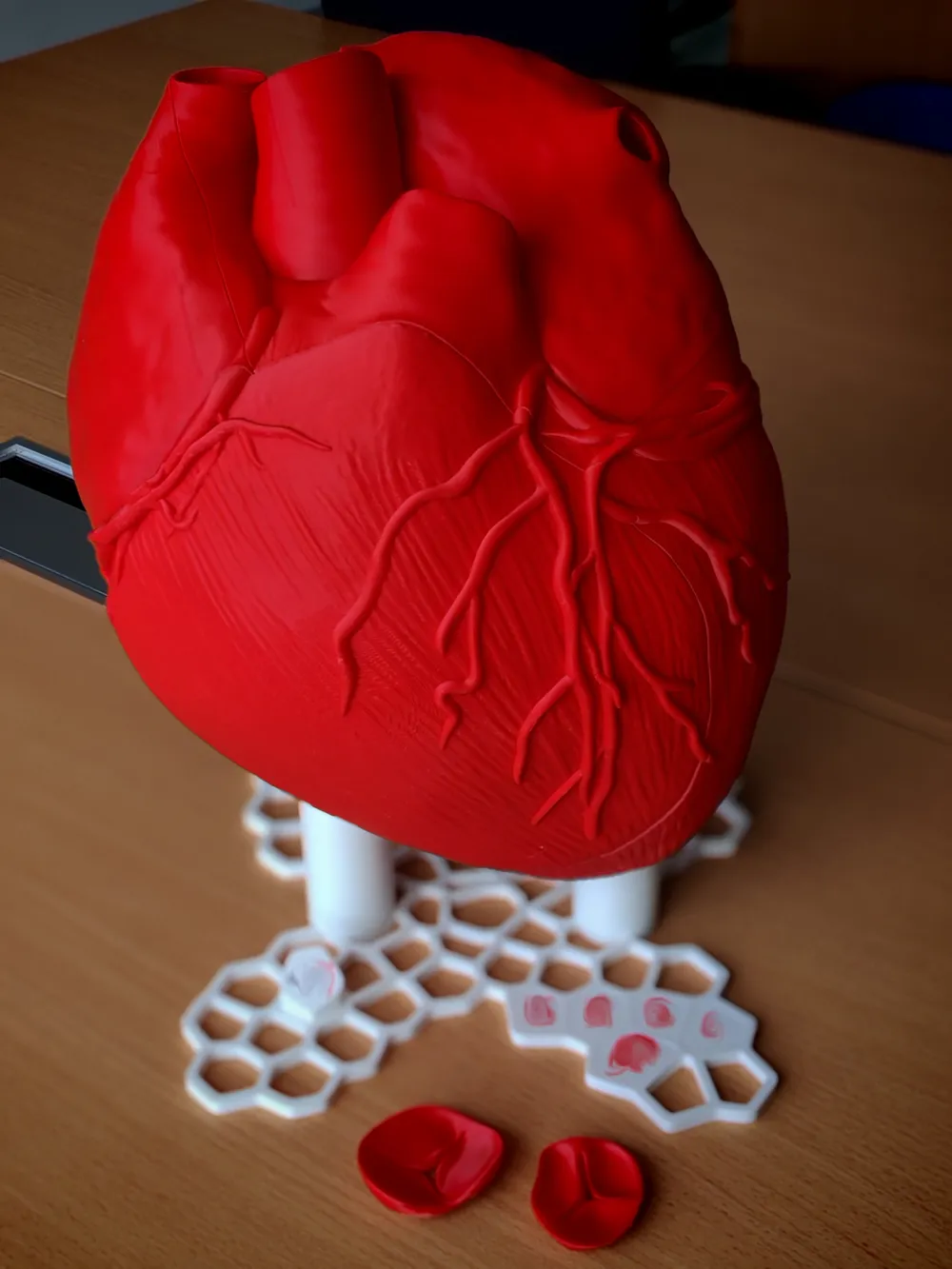 Customizable base for human heart 250% - Free 3D Print Model - MakerWorld