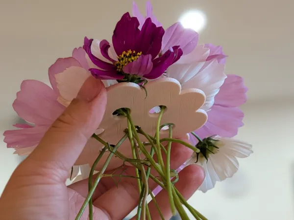https://makerworld.bblmw.com/makerworld/model/USab9b95cd53b757/design/17599744e3959c29.jpg