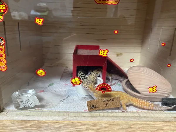 https://makerworld.bblmw.com/makerworld/model/USabaef6ca66382e/design/2025-06-29_740429e503834.jpg