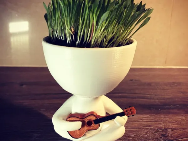 https://makerworld.bblmw.com/makerworld/model/USabb19b69366a72/design/2024-05-17_fcccb920fa74a.jpg
