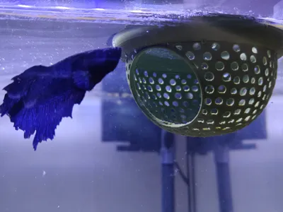 Aquarium Floating Cave Fish