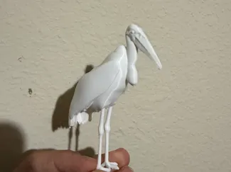 Marabou Stork