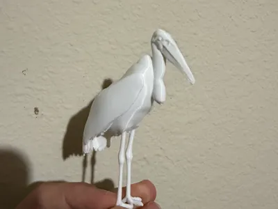 Marabou Stork