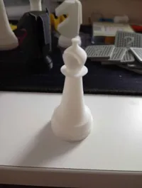 Bishops 0.2mm layer, 2 walls, 15% infill