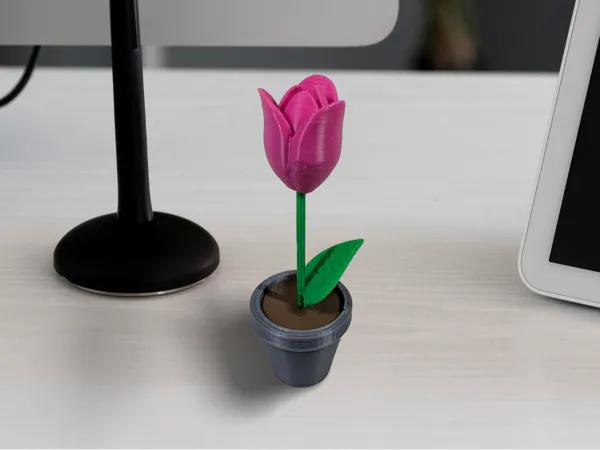 https://makerworld.bblmw.com/makerworld/model/USabbe7f3a0770ae/design/2025-01-12_9aabe0f8039d5.png