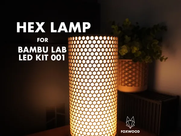https://makerworld.bblmw.com/makerworld/model/USabc2f1cf23e5b5/design/2024-06-27_5da539779bd63.jpg