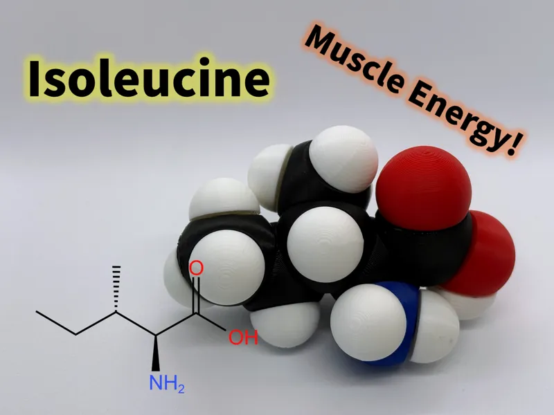 Isoleucine molfidget with rotatable bonds