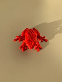 Grenouille style Voronoi — photo 5