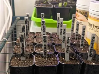 Seed starter label 