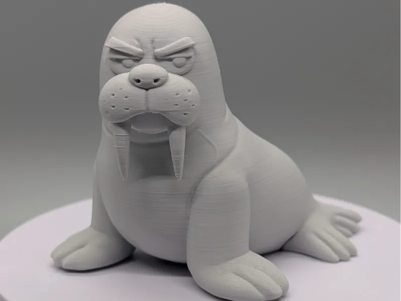 Walrus