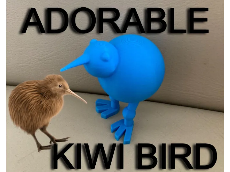 Adorable Mini Kiwi Bird 