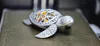 Modern Design Poop Turtle with Pause