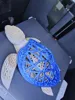 Modern Design Turtle AMS