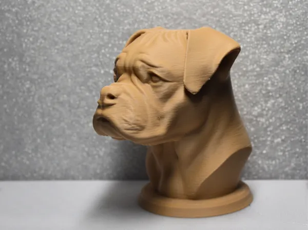 https://makerworld.bblmw.com/makerworld/model/USabd05321a2d3c7/design/2025-05-24_74e63518572ac8.jpg